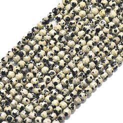 Природные яшмы далматин бисер нитей G-A260-A10-01