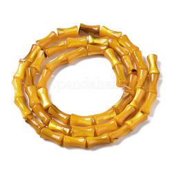 Naturali di acqua dolce perline shell fili&nbsp;SHEL-Q025-003D