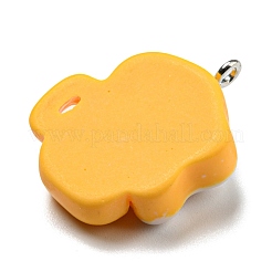 Непрозрачные подвески из искусственной смолы&nbsp;CRES-D019-01C