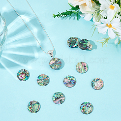 12 шт. кабошоны из натуральной ракушки пауа&nbsp;FIND-WR0011-79A