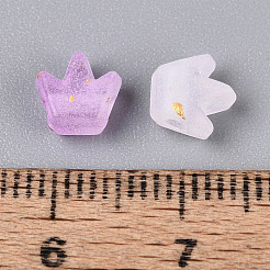 Матовые прозрачные акриловые бусины&nbsp;FACR-T009-01G