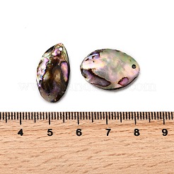 Природные пауа оболочки подвески SSHEL-S280-01A