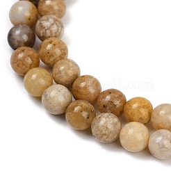 Природный агат бисер нитей&nbsp;G-U026-A07-8mm