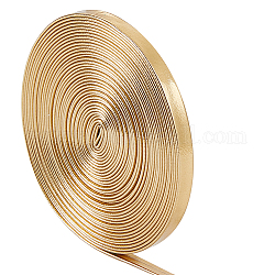 Gorgecraft 5M Flat Imitation Leather Cord, for Pillow Decor, Gold, 6x0.8mm, about 5.47 Yards(5m)/Roll