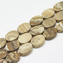 Natürliches Bild Jaspis Perlen Stränge, Oval, 14~15x10~11x5 mm, Bohrung: 1 mm, ca. 28 Stk. / Strang, 15.3 Zoll ~ 16.1 Zoll