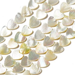 Shell normal de perles blanches de brins, cœur, 11x11~11.5x1.5~2mm, Trou: 0.5mm, Environ 38 pcs/chapelet, 15.35~15.55 pouce (39~39.5 cm)