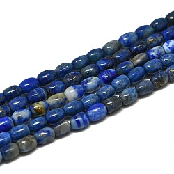 Natural Lapis Lazuli Beads Strands, Drum, 6.5~7x5~5.5mm, Hole: 0.6mm, about 24pcs/strand, 15.55''(39.5cm)