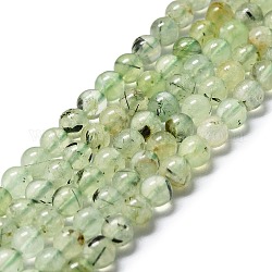 Chapelets de perles en préhnite naturelle, ronde, vert pale, 6mm, Trou: 1mm