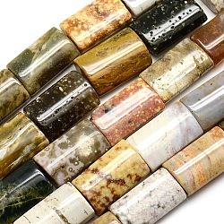 Rectangle Natural Ocean Agate/Ocean Jasper Beads Strands, 25x15x7mm, Hole: 1mm, about 16pcs/strand, 16.5 inch