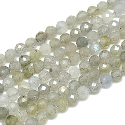 Natural Labradorite Beads Strands, Faceted, Round, 2~2.5mm, Hole: 0.3mm, about 177pcs/strand, 14.9 inch