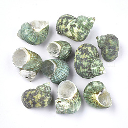 Conch Shell Perlen, ungebohrt / keine Lochperlen, dunkles Seegrün, 25~42x22~32x20~31 mm