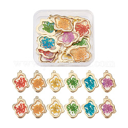 Craftdady 12Pcs 6 Colors Epoxy Resin Pendants, with Dried Flower Inside and Light Gold Plated Alloy Open Back Bezel, Nuggets, Mixed Color, 35x26x1.5mm, Hole: 1.6mm, 2pcs/color