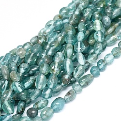 Perline apatite naturale fili, pepite, 5~8x5~6x4~5mm, Foro: 0.8 mm, circa 62pcs/filo, 15.75 pollice (40 cm)