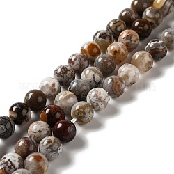Perles en agate mexicaine naturelle, ronde, 8mm, Trou: 1mm, Environ 49 pcs/chapelet, 15.35'' (39 cm)