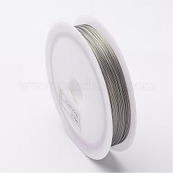 DIY Jewelry Thread Findings Colored Tiger Tail Wire, Nylon-coated Stainless Steel, Stainless Steel Color, 0.45mm, about 164.04 Feet(50m)/roll