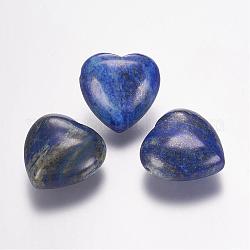 Perles en lapis-lazuli naturel, cœur, 13x25x25mm, Trou: 2mm