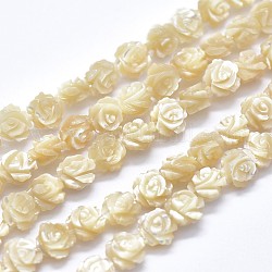 Chapelets de perles en coquille, rose double face, amande blanchie, 12~12.5x4~5.5mm, Trou: 1mm, Environ 33 pcs/chapelet, 14.96 pouce (38 cm)