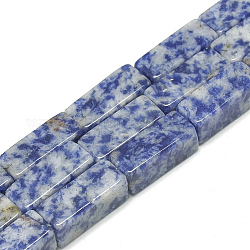 Perles de jaspe tache bleue naturelle, cuboïde, 20~21x8~8.5x8~8.5mm, Trou: 1mm, Environ 19 pcs/chapelet, 15.5 pouce