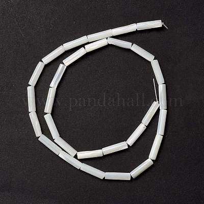 Бусины из натуральных трохоидных/трохус ракушек&nbsp;SSHEL-O001-26B-1