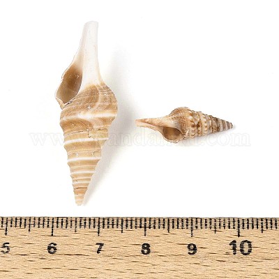 Натуральные спиральные бусы из ракушек SSHEL-N040-03-1