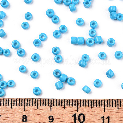 Выпечка краска стеклянные бусины SEED-S001-K10-1