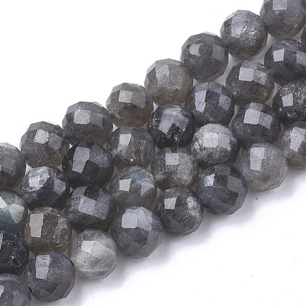 Natural Labradorite Beads Strands G-S345-10mm-005-1