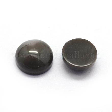 Cabochons en coquille BSHE-E566-01-15mm-1