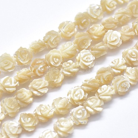 Chapelets de perles en coquille SSHEL-P015-01B-12mm-1