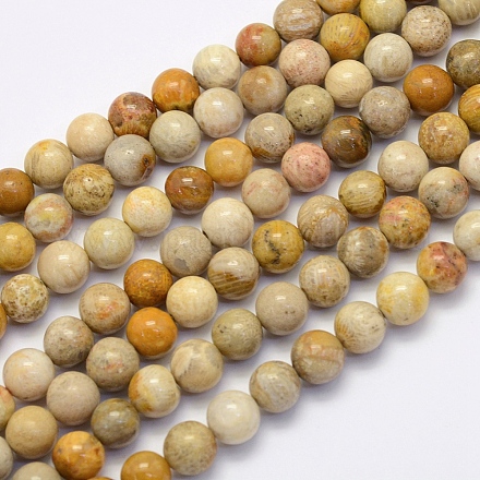 Fossiles naturelle perles de corail brins G-G697-F01-10mm-1