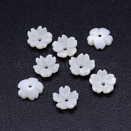 5-pétale de fleur perles de coquillage naturel d'eau douce SSHEL-P005-20-1