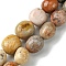 Natural Fossil Coral Beads Strands, Oval, Tumbled Stone, 7~12x8~10x6.5~8.5mm, Hole: 1~1.2mm, about 40~42pcs/strand, 14.76~15.16 inch(37.5cm)