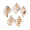Natural Sea Shell Big Pendants with Golden Brass Edge, Shell Shape Charms, Seashell Color, 58~65x35~42x27~29mm, Hole: 1.6mm