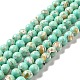 Synthetic Turquoise and Sea Shell Assembled Beads Strands G-D482-01A-08-2