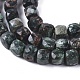 Natural Seraphinite Beads Strands G-L537-014-2