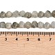 Природные лабрадорита бисер нитей&nbsp;G-P611-C26-01-5