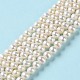Naturale perla perle fili PEAR-E018-99-2