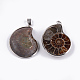 Natural Fossil Pendants G-S278-52-2