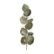 Autocollants décoratifs auto-adhésifs pour plantes en pet AJEW-Q146-01F-2