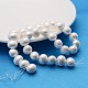 Round Shell Pearl Bead Strands BSHE-M008-03D-2