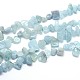 Aquamarine Beads Strands G-O050-19-1