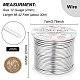 BENECREAT 12 Gauge(2mm) Aluminum Wire 100FT(30m) Anodized Jewelry Craft Making Beading Floral Colored Aluminum Craft Wire - Silver AW-BC0001-2mm-02-2