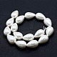 Electroplate Shell Pearl Beads Strands BSHE-G010-14x20mm-01-2