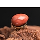 Яйца из натуральной красной яшмы PW-WG1DC51-19-1