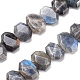Natural Labradorite Beads Strands G-I283-B04-1