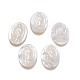 Natural White Shell Mother of Pearl Shell Cabochons BSHE-F007-02-A-1