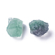 Rough Raw Natural Fluorite Beads G-WH0003-04-1