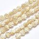 Chapelets de perles en coquille SSHEL-P015-01B-12mm-1