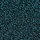 Perles rocailles miyuki rondes X-SEED-G007-RR2406-3