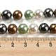 Fili di perle di conchiglia lucidate BSHE-F013-07D-6