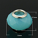 Glass European Beads GPDL-H008-6-1